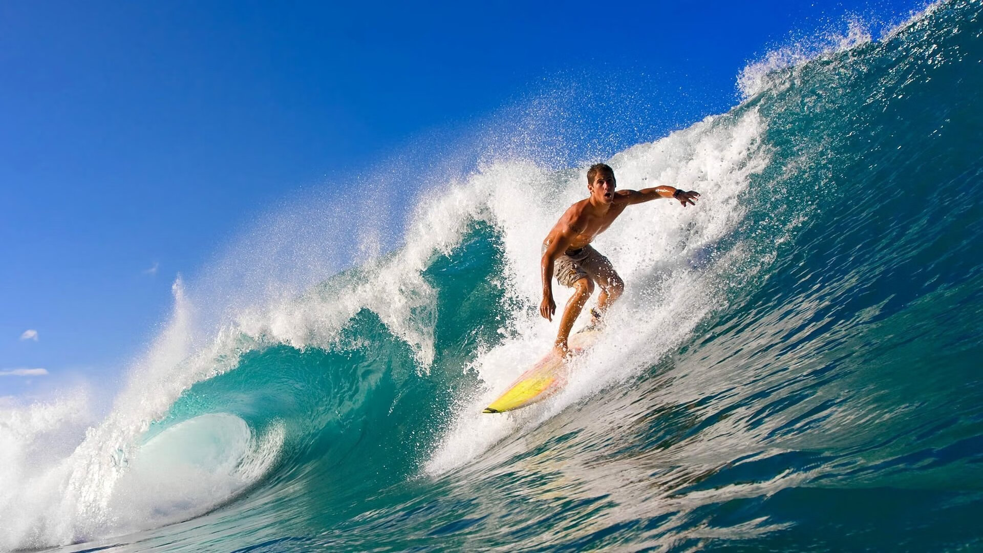 星空体育app体验棒-“未来赛车:新能源动力带来的速度革命”,未来能源汽车